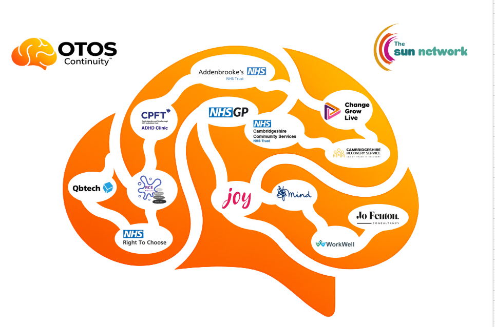 Partner pathway diagram — the connected partner network across the cohort journey, from first contact to held thread.